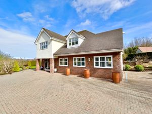 Photo 61- click for photo gallery